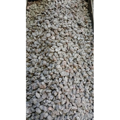 مویز افغان بدون هسته | 700گرمی