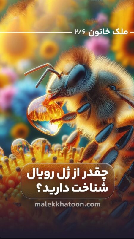 ژل رویال1