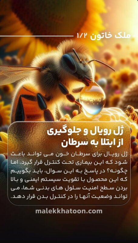 ژل رویال11