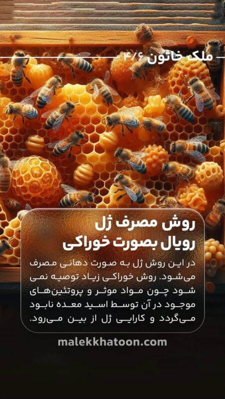 ژل رویال4